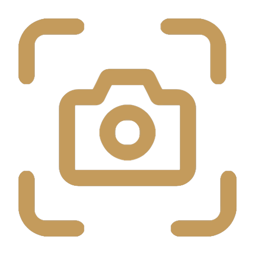 Screenshot icon